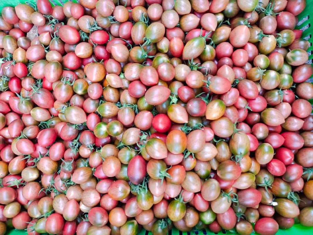新鲜到货了?#精品高质量新鲜蔬菜 #绿色农副产品 #新鲜食材
