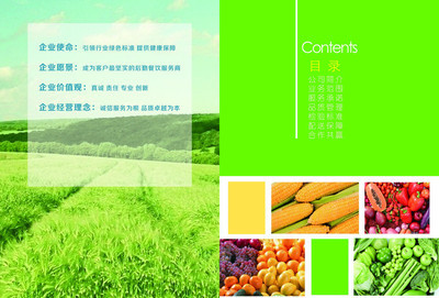 湖南惠万家蔬菜 农副产品安全 放心 实惠配送到指定地方 蔬菜配送