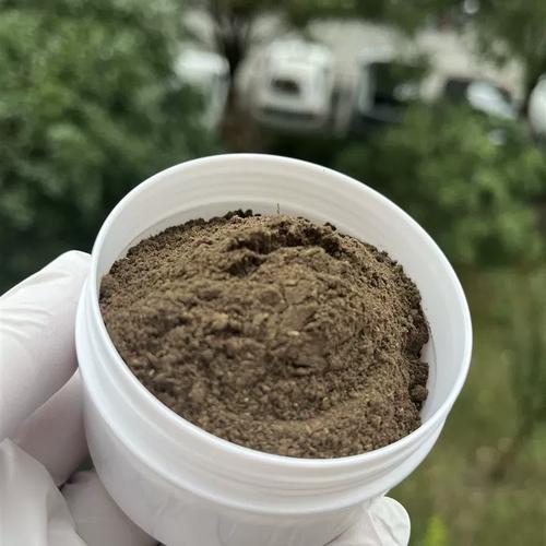 古法牙粉 坚固 清洁 陈希夷牙粉 农q副产品手工代制作